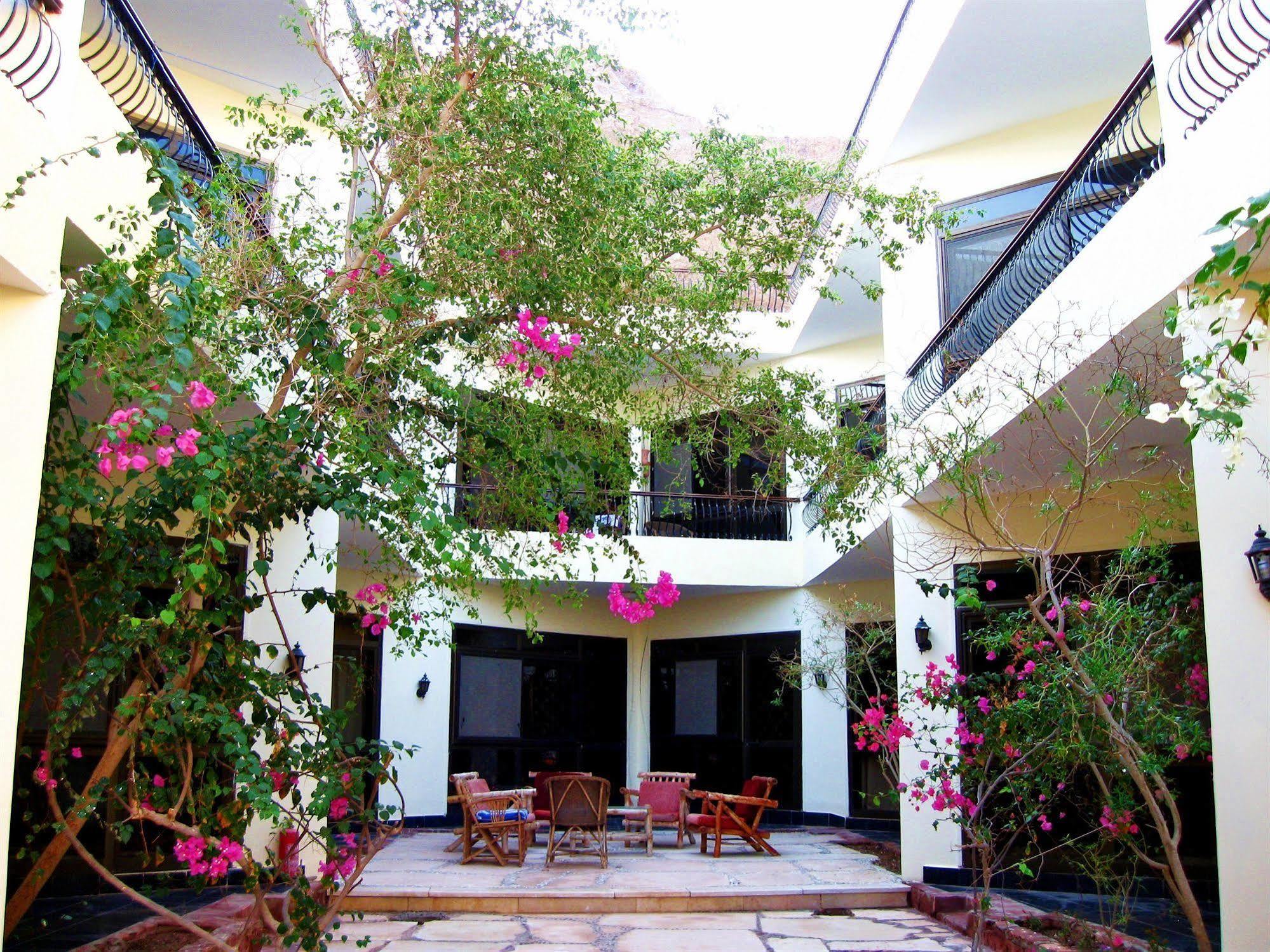 Sea Horse Hotel 후르가다 외부 사진